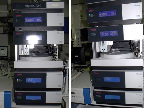 UHPLC System