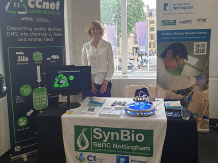 SynbiTECH 2019